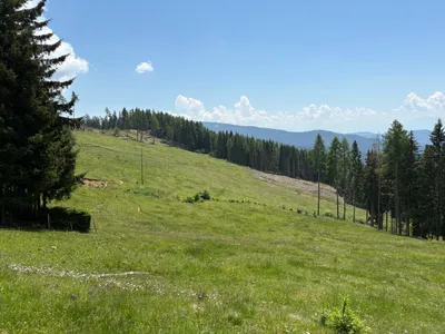 Grundstück kaufen in Sankt Veit an der Glan – 69 156 m², € 210.000 – Bild 7 von 13