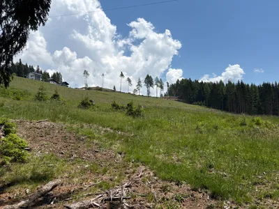 Grundstück kaufen in Sankt Veit an der Glan – 69 156 m², € 210.000 – Bild 6 von 13