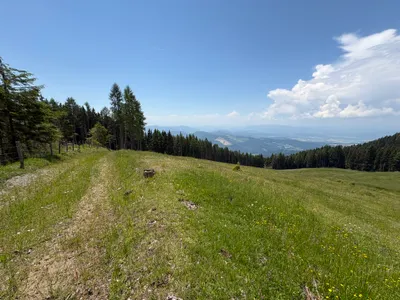 Grundstück kaufen in Sankt Veit an der Glan – 69 156 m², € 210.000 – Bild 1 von 13