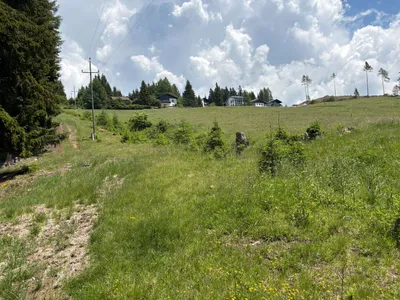 Grundstück kaufen in Sankt Veit an der Glan – 69 156 m², € 210.000 – Bild 5 von 13