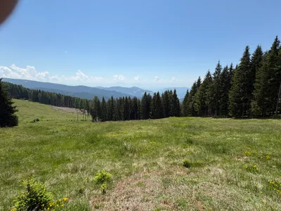 Grundstück kaufen in Sankt Veit an der Glan – 69 156 m², € 210.000 – Bild 10 von 13