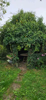 9-Zimmer-Haus mieten in Grieskirchen – 260 m², € 1.700 – Bild 15 von 16