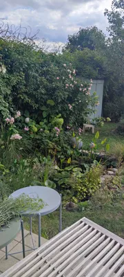 5-Zimmer-Haus kaufen in Krems Land – 99 m², € 395.000 – Bild 11 von 19