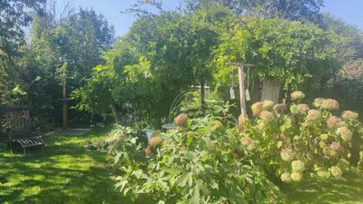 5-Zimmer-Haus kaufen in Krems Land – 99 m², € 395.000 – Bild 12 von 19
