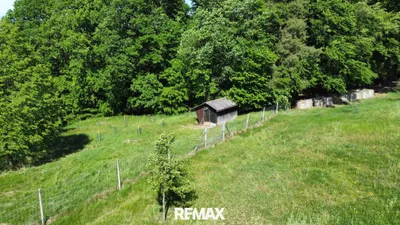 Immobilie kaufen in Südoststeiermark – 23 105 m², € 169.000 – Bild 12 von 19