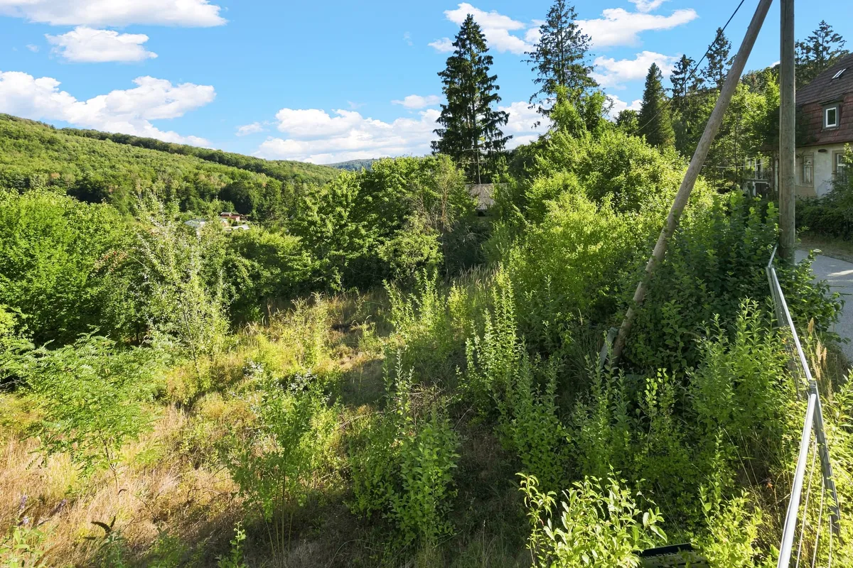 Exklusives Grunstück in Mauerbach - 1.875,24 m² Bestlage für Doppelhaus oder Wohnanlage! - Ansicht 2