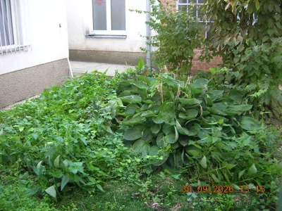 Immobilie mieten in Wien – 25 m², € 299 – Bild 12 von 13