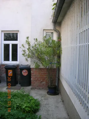 Immobilie mieten in Wien – 25 m², € 299 – Bild 10 von 13