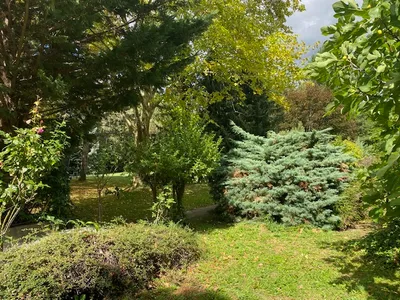 2-Zimmer-Wohnung kaufen in Wien – 54,38 m², € 400.000 – Bild 10 von 15