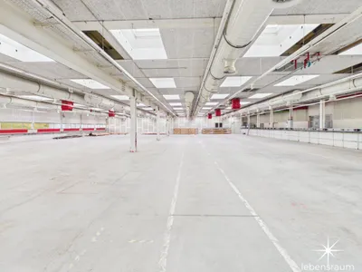 Gewerbeimmobilie mieten in Spittal an der Drau – 2 500 m², € 20.833 – Bild 5 von 8