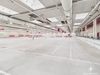 Gewerbeimmobilie mieten in Spittal an der Drau – 2 500 m², € 20.833 – Bild 4 von 8