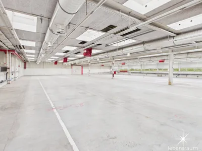 Gewerbeimmobilie mieten in Spittal an der Drau – 2 500 m², € 20.833 – Bild 3 von 8
