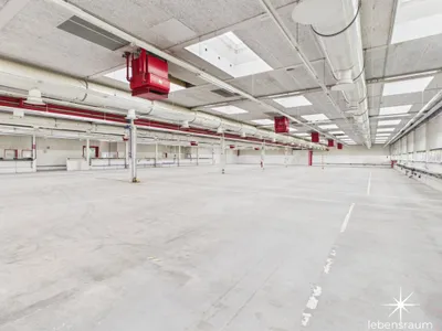 Gewerbeimmobilie mieten in Spittal an der Drau – 2 500 m², € 20.833 – Bild 2 von 8