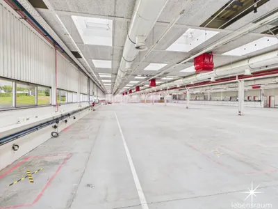 Gewerbeimmobilie mieten in Spittal an der Drau – 2 500 m², € 20.833 – Bild 6 von 8