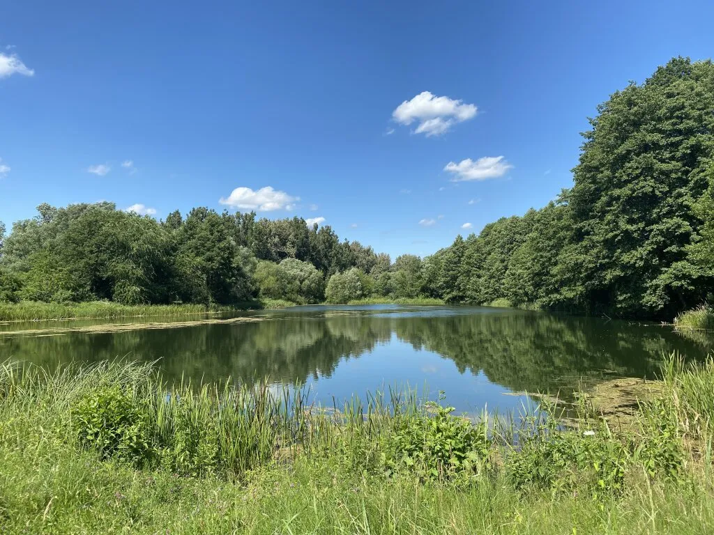 Wohnung – Wien, Aspern - Ansicht 2