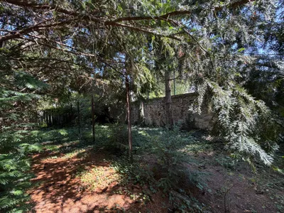 7-Zimmer-Haus kaufen in Bruck an der Leitha – 230 m², € 250.000 – Bild 5 von 17