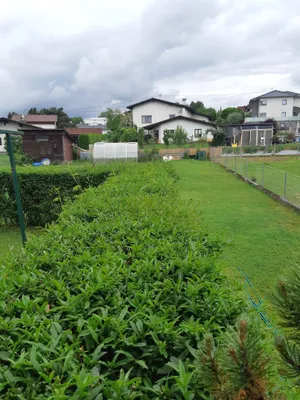 7-Zimmer-Haus kaufen in Steyr-Land – 130 m², € 378.000 – Bild 12 von 18