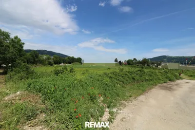 Immobilie kaufen in Kirchdorf an der Krems – 15 006 m² – Bild 3 von 6