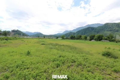 Immobilie kaufen in Kirchdorf an der Krems – 15 006 m² – Bild 5 von 6