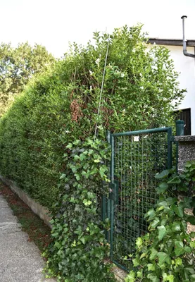 3-Zimmer-Haus mieten in Wien – 50 m², € 1.590 – Bild 20 von 21