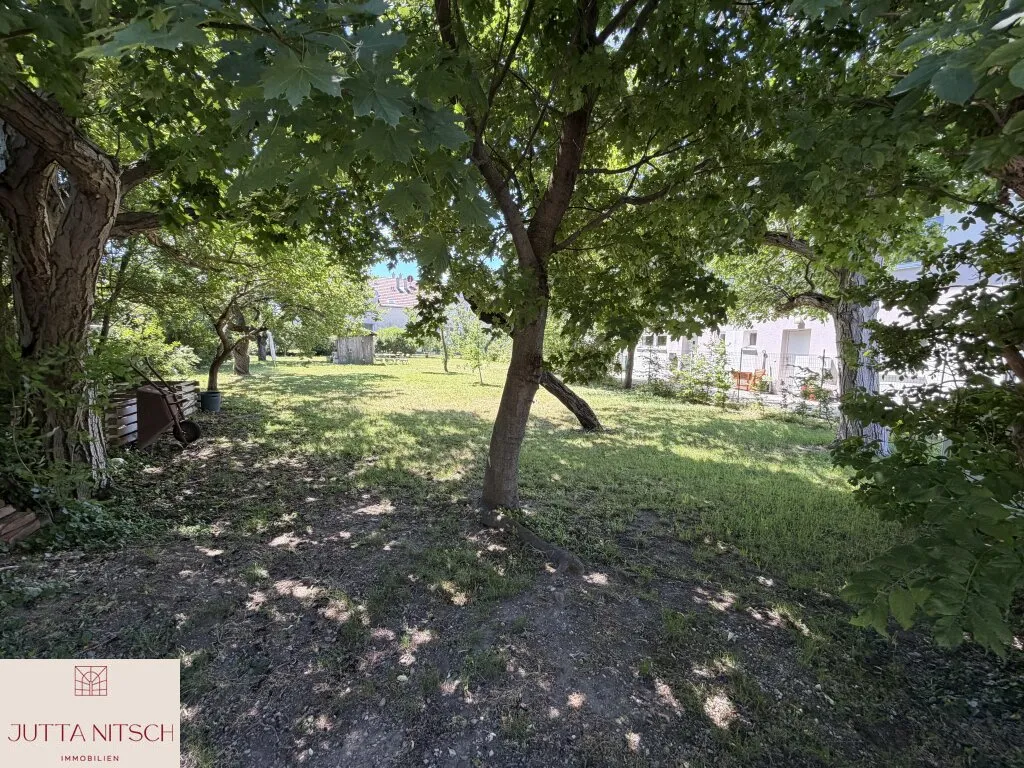 Ebenes, zentrales Sonnengrundstück in Baden - Ansicht 3