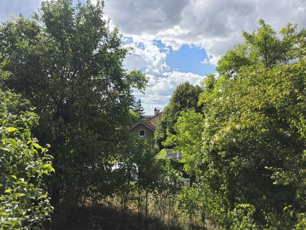 PREISREDUKTION: DIREKT am Fuße des BISAMBERG's -- mehrere KFZ-Abstellplätze möglich! - Ansicht 3