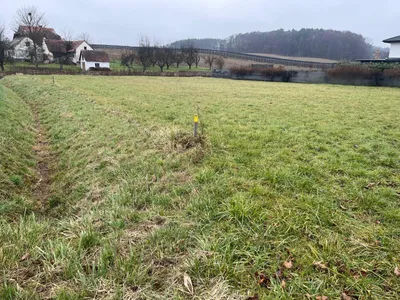 Grundstück zum Kauf in 8262 Hartberg-Fürstenfeld