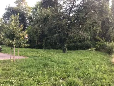 Grundstück kaufen in Hollabrunn – 925 m², € 89.000 – Bild 5 von 6