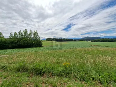 Grundstück kaufen in Klagenfurt Land – 1 234 m², € 135.740 – Bild 4 von 6
