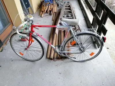 crivit urban e-bike NEW 2022 CRIT Mercedes AMG Petronas Color:IG - Black/Titanium ST BIKE & E-BIKE