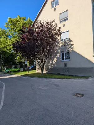 2-Zimmer-Wohnung mieten in Wien – 47 m², € 950 – Bild 2 von 13
