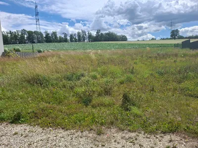 Grundstück kaufen in Grieskirchen – 956 m²