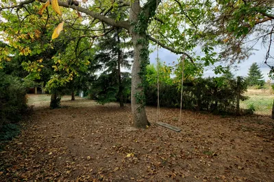 Haus kaufen in Oberpullendorf – 51 m², € 109.900 – Bild 16 von 19