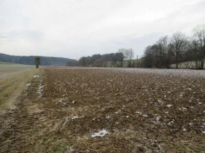 Immobilie kaufen in Hartberg-Fürstenfeld – 472 m², € 532.000 – Bild 45 von 49