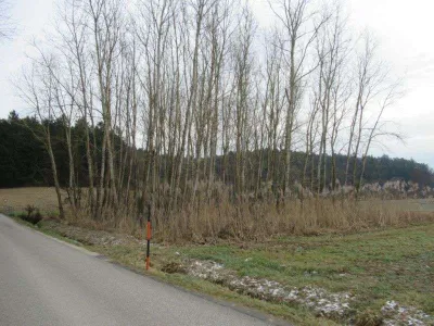 Immobilie kaufen in Hartberg-Fürstenfeld – 472 m², € 532.000 – Bild 47 von 49