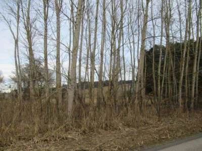Immobilie kaufen in Hartberg-Fürstenfeld – 472 m², € 532.000 – Bild 48 von 49