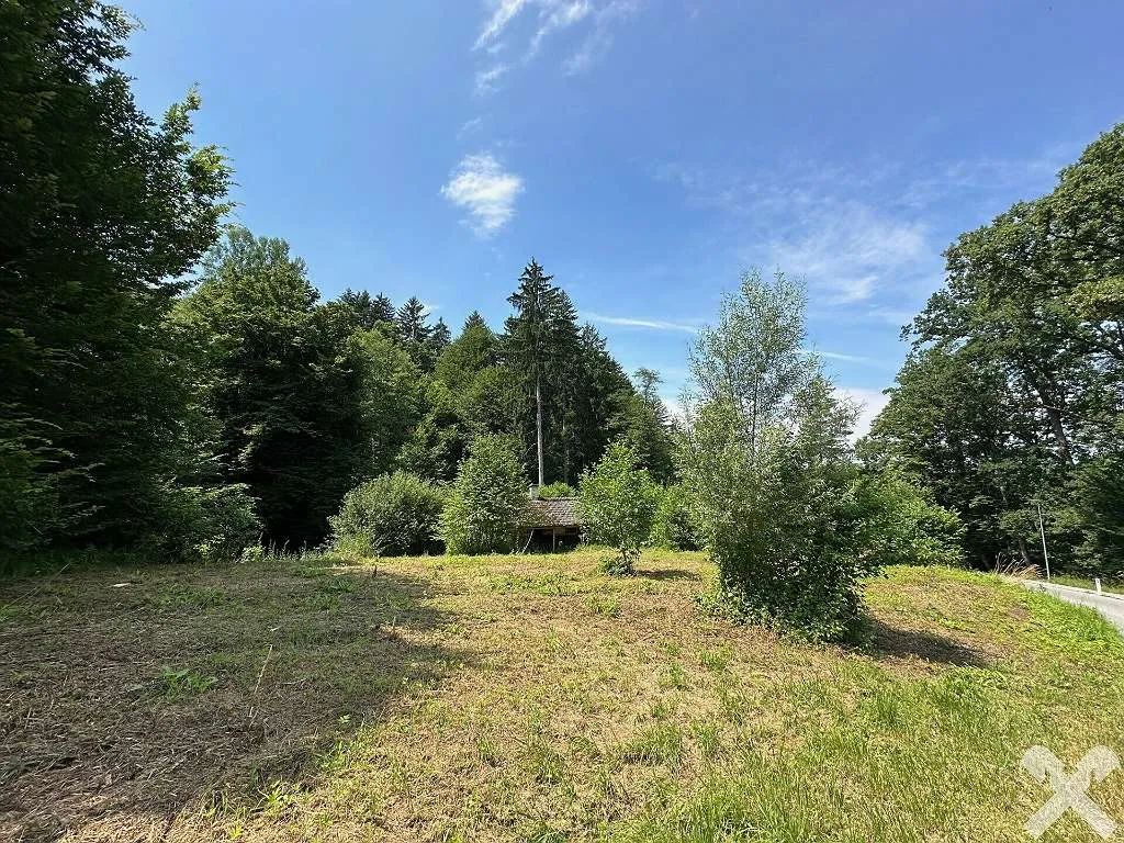 Waldgrundstück Mit Baugenehmigung Kaufen