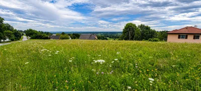 Grundstück kaufen in Güssing – 3 000 m² – Bild 1 von 9