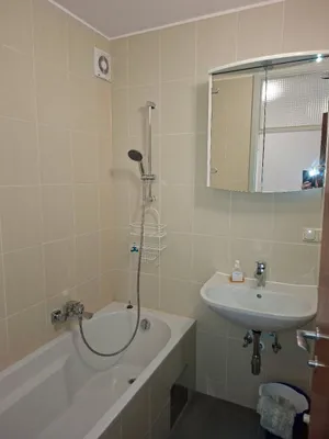 Seriöse Mieterin/ Mieter gesucht: helle, ruhige 2- Zimmer Wohnung mit neu eingerichteter Küche – Bild 2