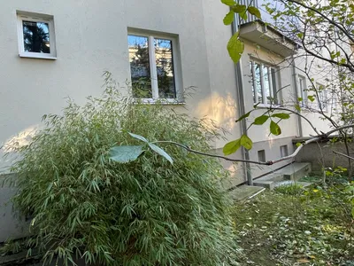 2-Zimmer-Wohnung mieten in Wien – 39 m², € 840 – Bild 10 von 21