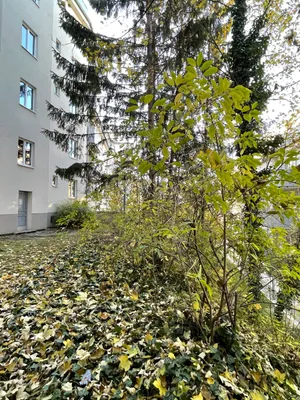 2-Zimmer-Wohnung mieten in Wien – 39 m², € 840 – Bild 12 von 21