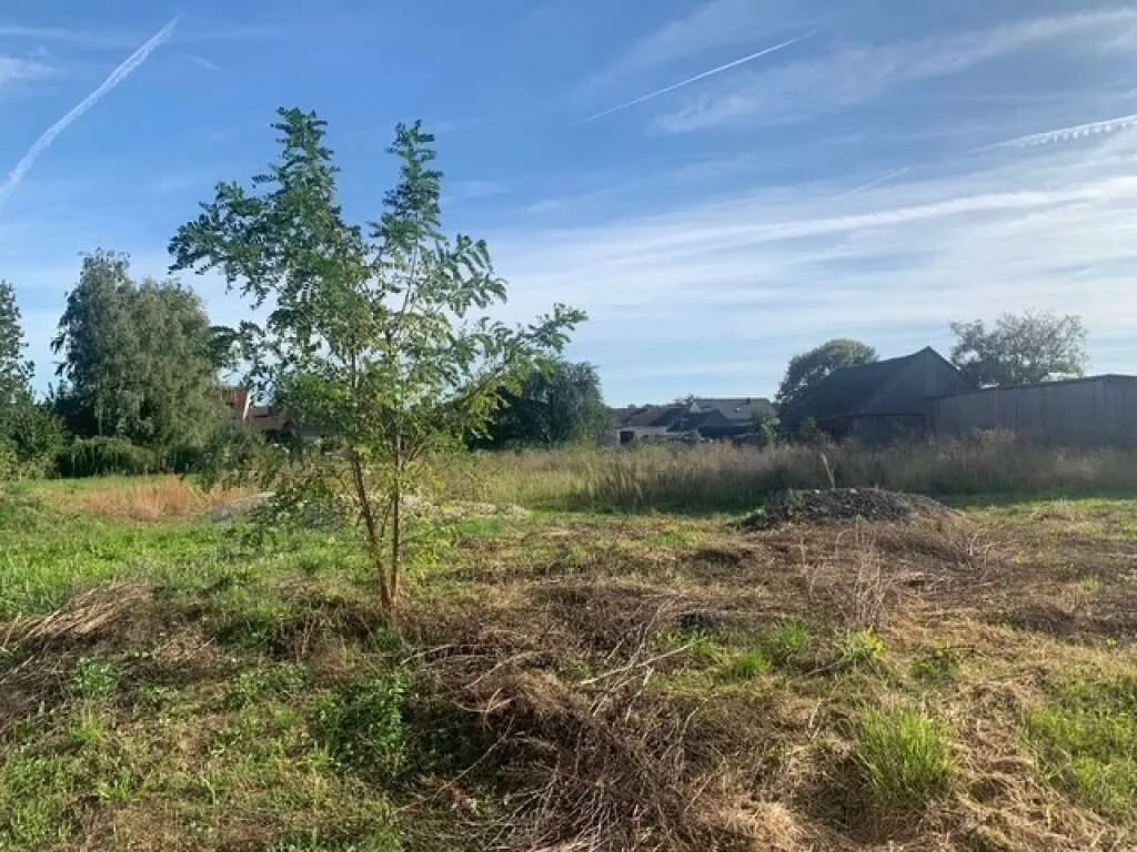 Exklusives Baugrundstück in sonniger Ruhelage in Tresdorf - Ansicht 3