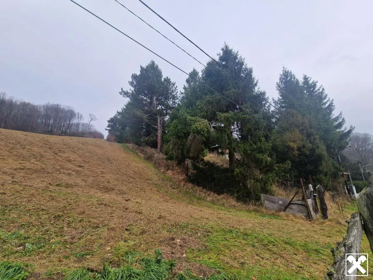 SONNIGE LEBENSQUALITÄT: ZWEI BAUGRUNDSTÜCKE IN WEIDLINGBACH MIT HOHER LEBENSQUALITÄT OHNE BAUZWANG - Ansicht 2
