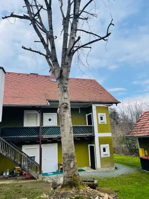 2-Zimmer-Wohnung mieten in Weiz – 66 m², € 570 – Bild 13 von 13