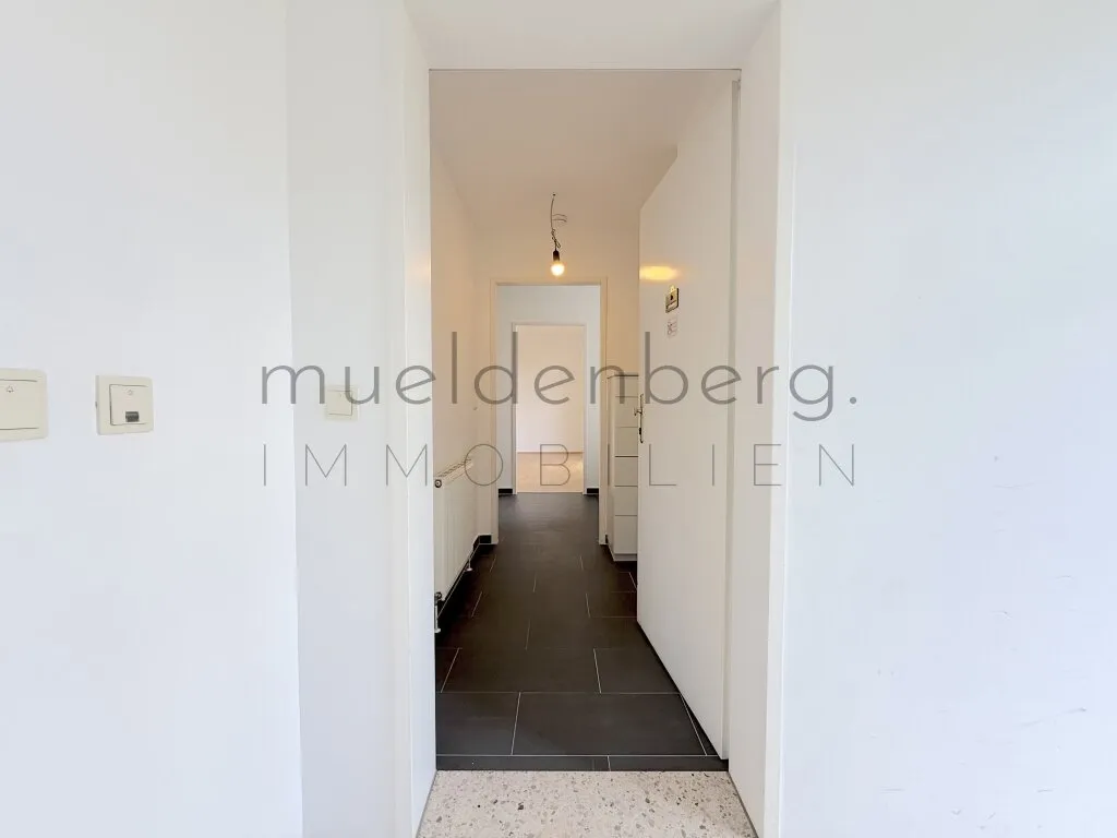 Große 2-Zi-Wohnung mit Balkon in 1060 Wien! - Ansicht 2