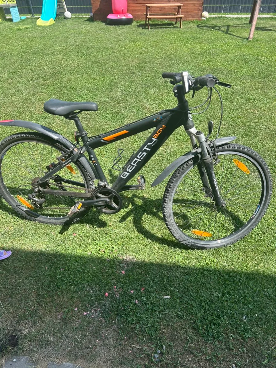 stevens gravel bike camino 28 inch – H&B Exclusive Breakdown: Fortune Gear | cannabis curing glas EXCELLENT CONDITION Truck Style:Supercarve 1