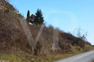 Grundstück kaufen in Urfahr-Umgebung – 5 556 m², € 990.000 – Bild 6 von 7