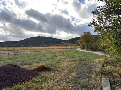 Grundstück kaufen in Baden – 1 727 m², € 1.990.000 – Bild 7 von 38
