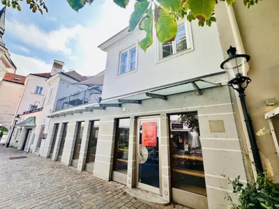 Gewerbeimmobilie mieten in Wiener Neustadt – 77 m², € 790 – Bild 7 von 7