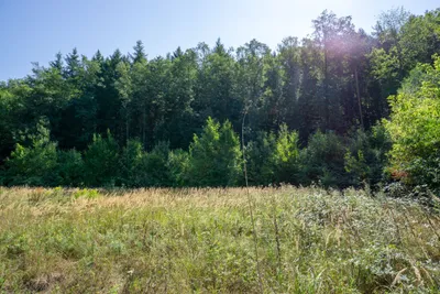 Immobilie kaufen in Sankt Pölten Land – 4 674 m², € 1.190.000 – Bild 5 von 7